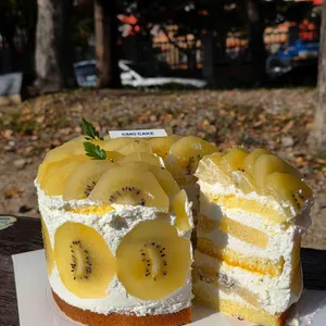 케익먹는곰 사진