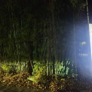 밀숲칼국수 리뷰 사진