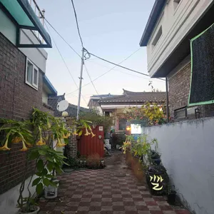 길갈 리뷰 사진