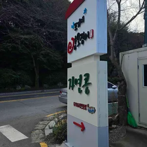 조가네갑오징어 리뷰 사진