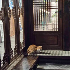 카페, 소솜 리뷰 사진