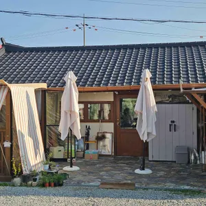 꽃비가 대표 사진