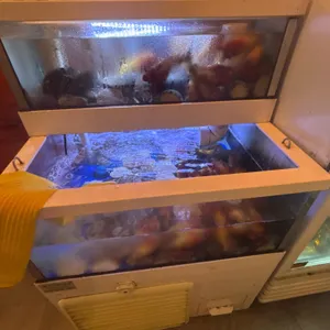 섬사나이 리뷰 사진