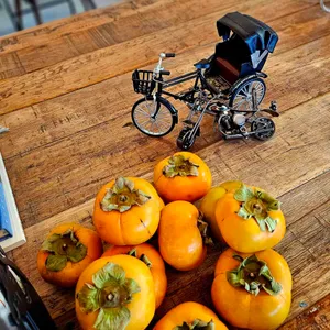 비스토니커피 리뷰 사진