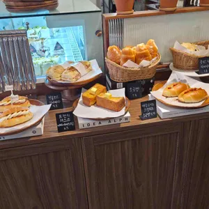 시즌모먼트 사진