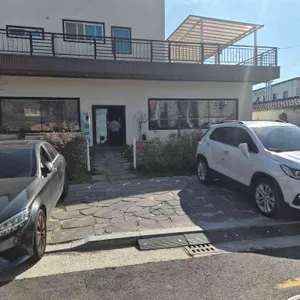 텐플러스 리뷰 사진