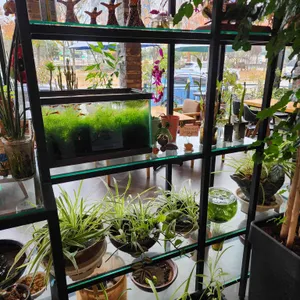 레드블랙카페 리뷰 사진