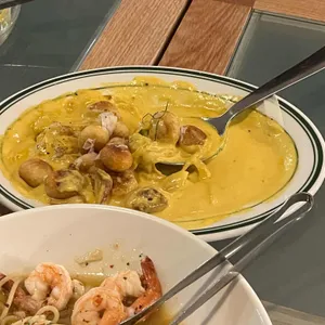 공원블루스 사진