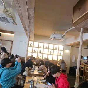 노스 리뷰 사진