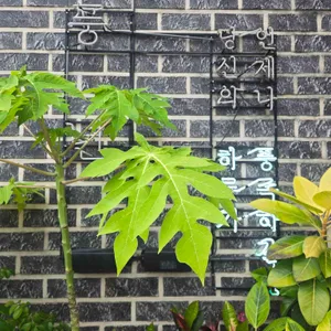 풍년커피 리뷰 사진