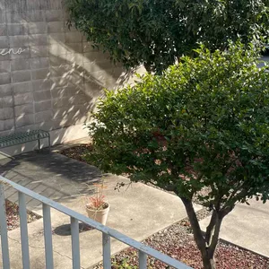 아삐에노 리뷰 사진