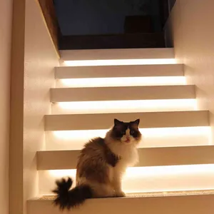 블랙티하우스 리뷰 사진