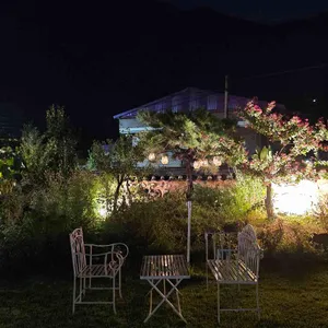 블랙티하우스 리뷰 사진