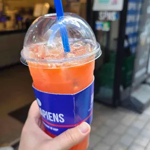 커피사피엔스 사진