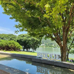 브리끄 대표 사진