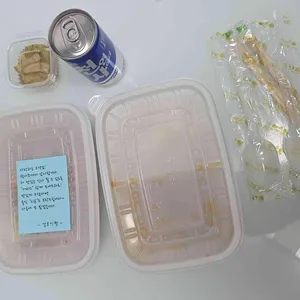 알로이 짱 사진