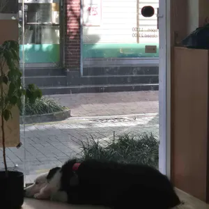 케이크오예 리뷰 사진