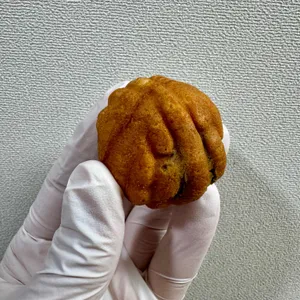 에나호두 대표 사진