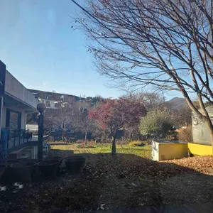 큰골 칼국수 대표 사진