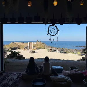 카페 모알보알 리뷰 사진