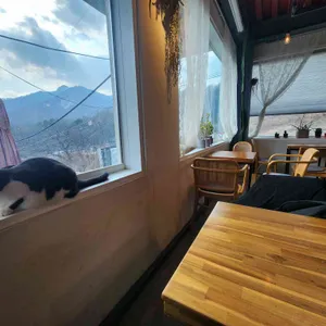 카페포레 리뷰 사진