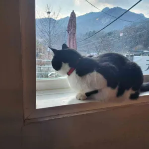 카페포레 리뷰 사진