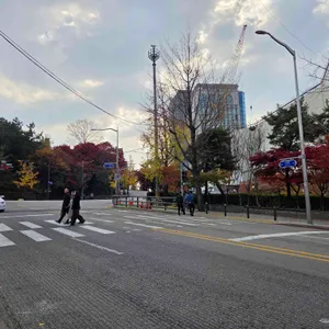 원조 남산 왕돈까스 리뷰 사진