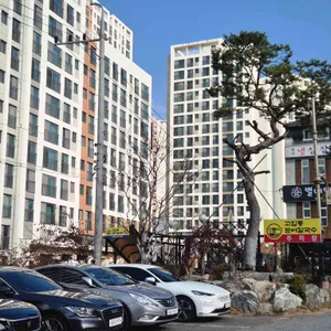 고집통문어칼국수 리뷰 사진