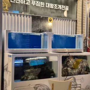 갯벌의조개 리뷰 사진