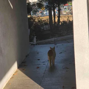 별보임 리뷰 사진