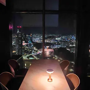 플레져 리뷰 사진