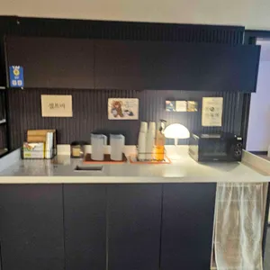 플레져 리뷰 사진