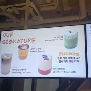 플레져 리뷰 사진