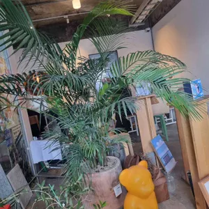 프랭크프랭크 커피 리뷰 사진