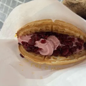 와플대학 사진 1