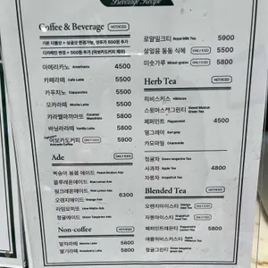 테디스베이글 리뷰 사진