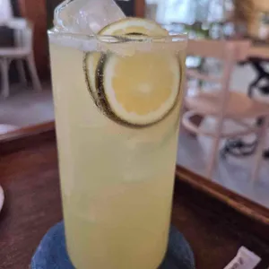 코기토 cogito 사진 2