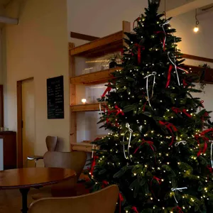 마일드스넉 리뷰 사진