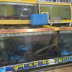 갈매기횟집 리뷰 사진