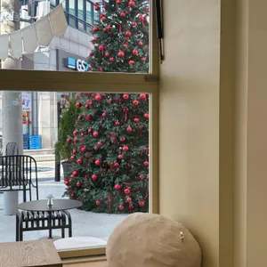 엘빙할루카 리뷰 사진