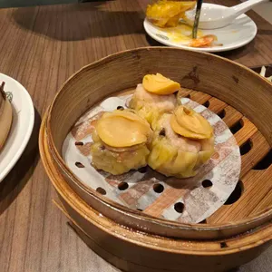 팀호완 대표 사진