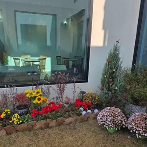 문그로우 리뷰 사진