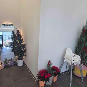 문그로우 리뷰 사진