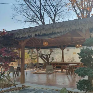 도나스데이 리뷰 사진