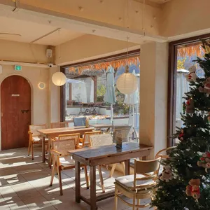 도나스데이 리뷰 사진