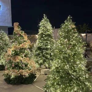 오르디 리뷰 사진