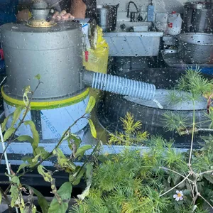 최일순 짬뽕순두부 리뷰 사진