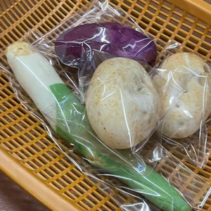 정남미명과 사진 1