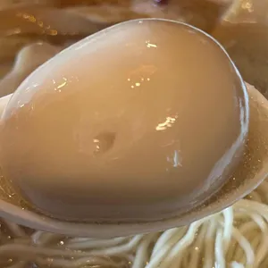 멘타이쇼 리뷰 사진