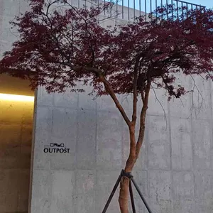 돈대카페 아웃포스트 리뷰 사진